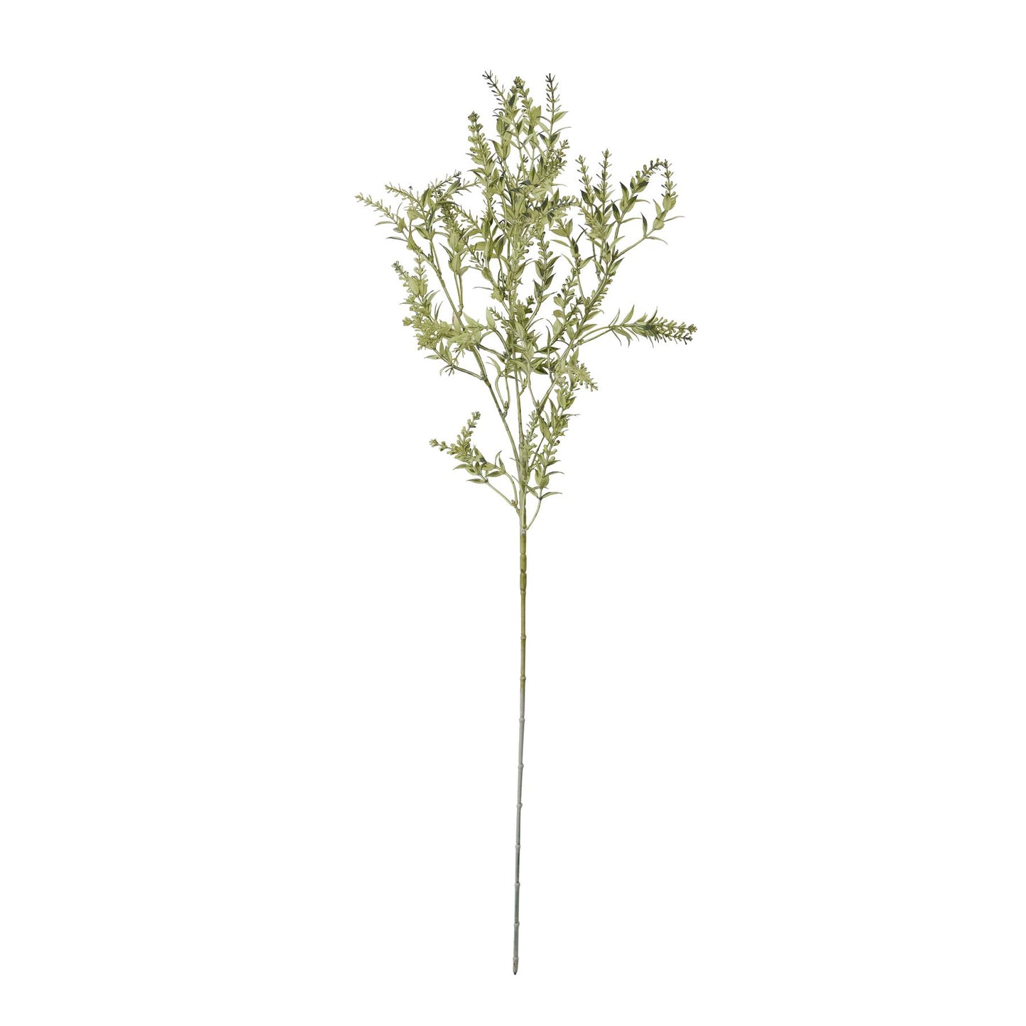 Broom Stem