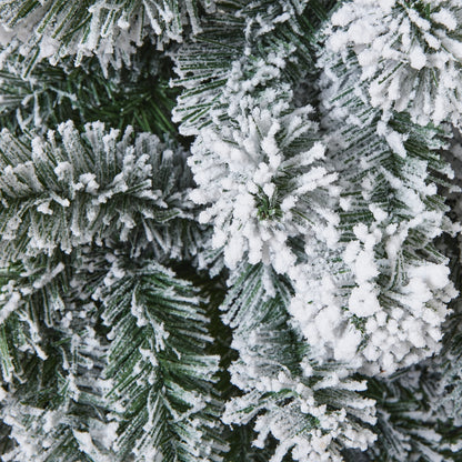 Snowy Pine Tree