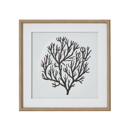 Atol Coral Art Mounted In Beaded Frame