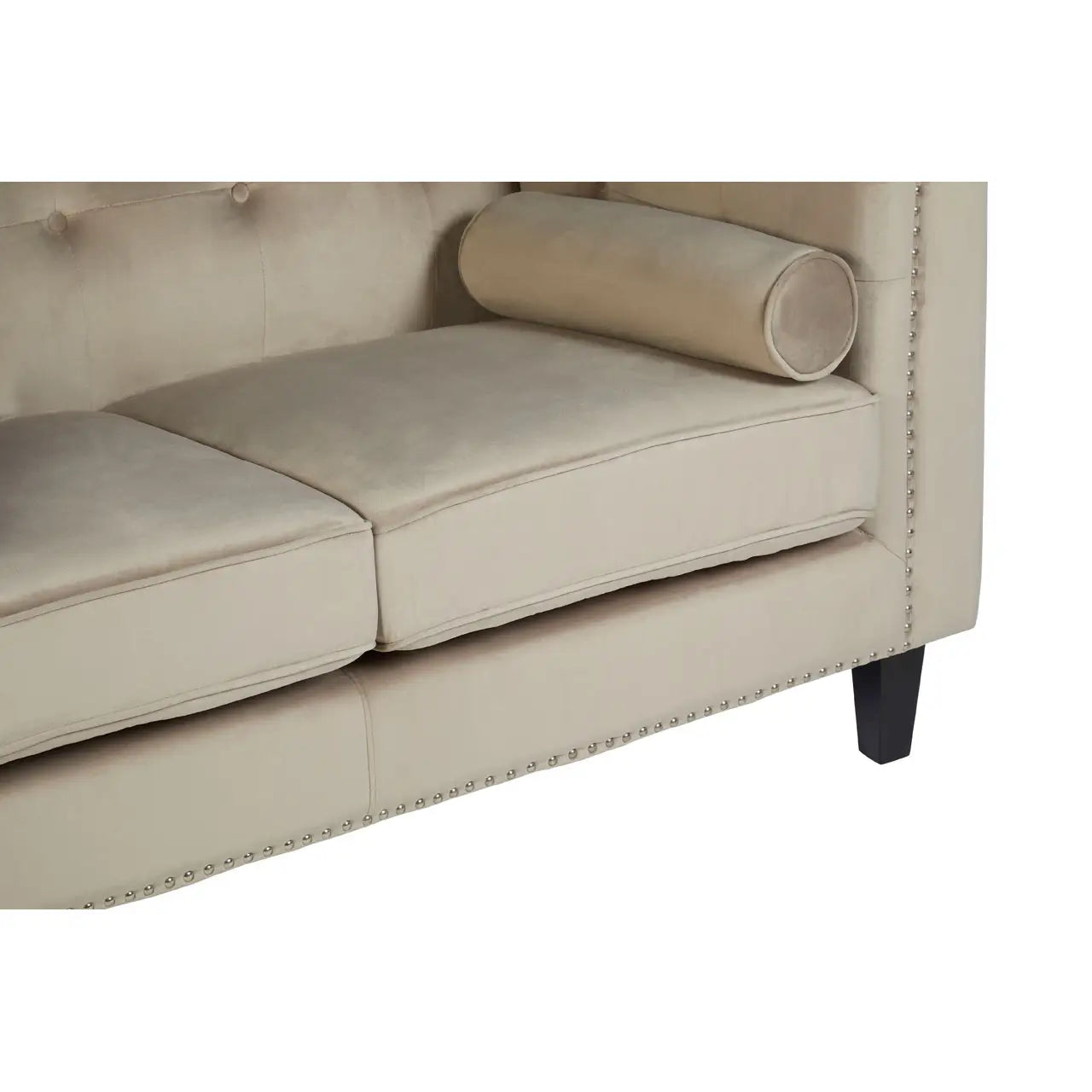 Felisa Two Seater Mink Velvet Sofa