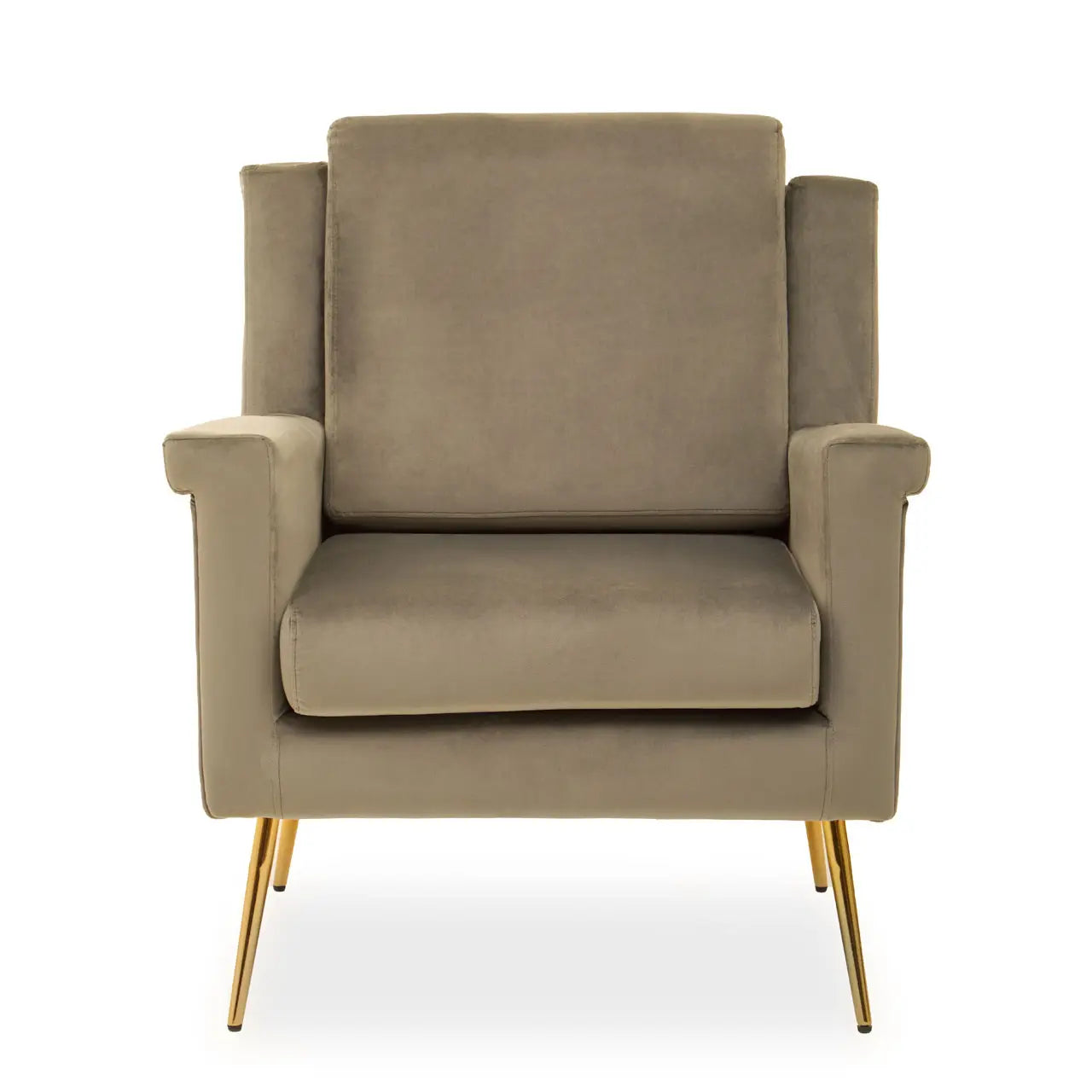 Salma Mink Velvet Armchair.