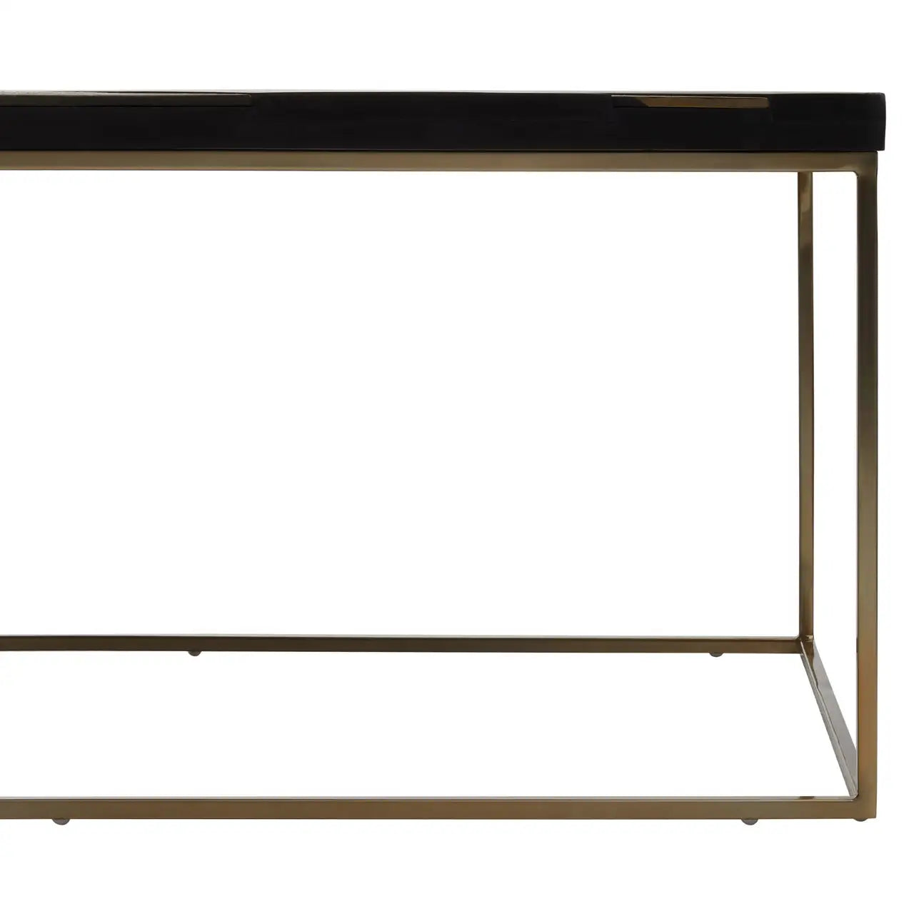 Aris Black And Gold Coffee Table