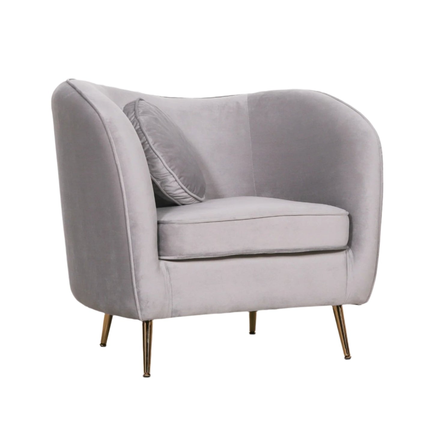 Grey Velvet Armchair with Cushion