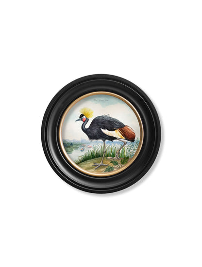 Audubon Style Cranes in Round Frames