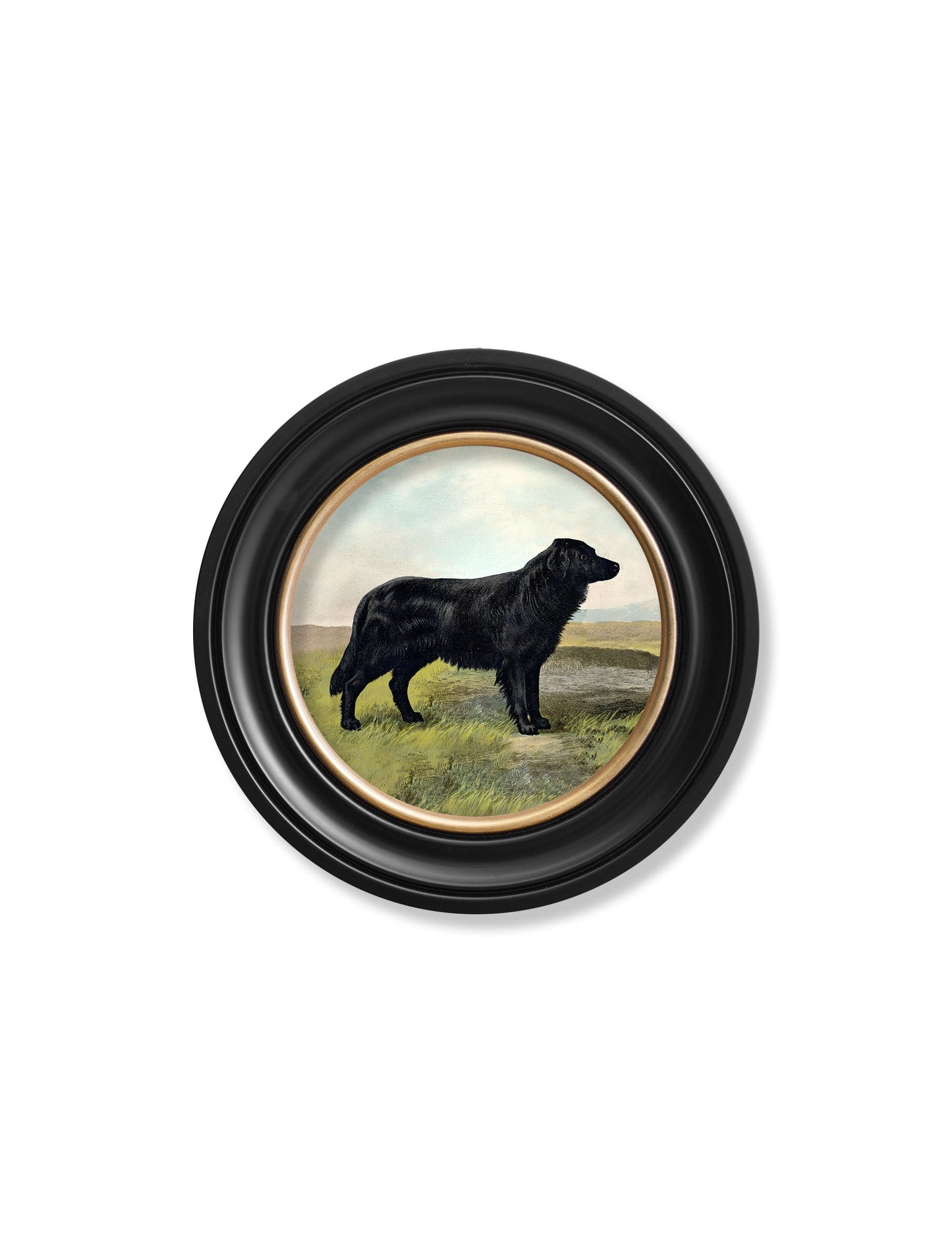 c.1881 Working Dogs - Round Frame