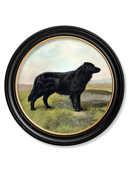 c.1881 Working Dogs - Round Frame