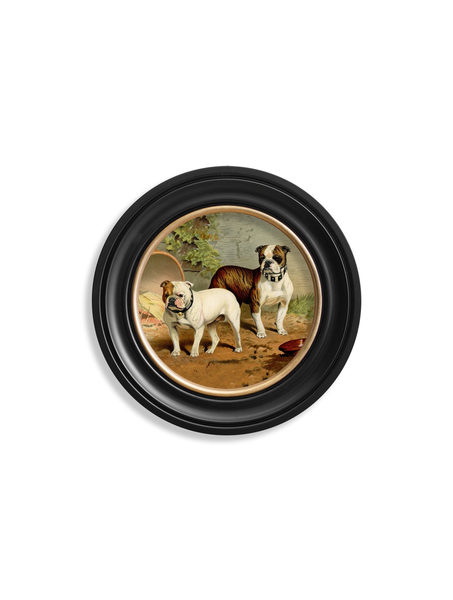 c.1881 Dogs - Round Frame