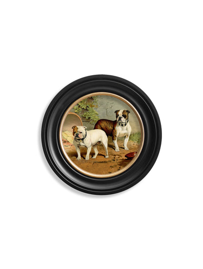 c.1881 Dogs - Round Frame