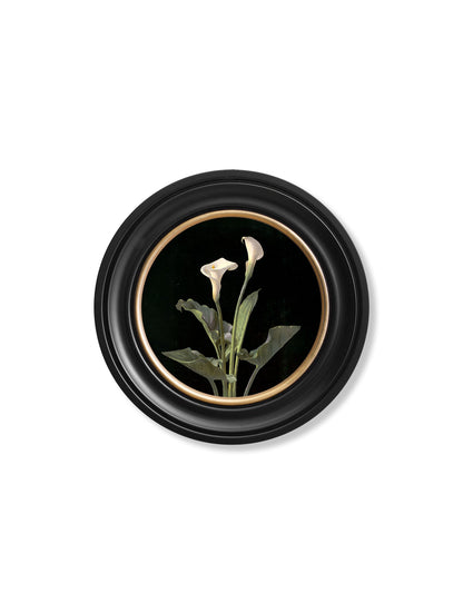 c.1874 George Cochran Lambdin Lillys - Round Frame