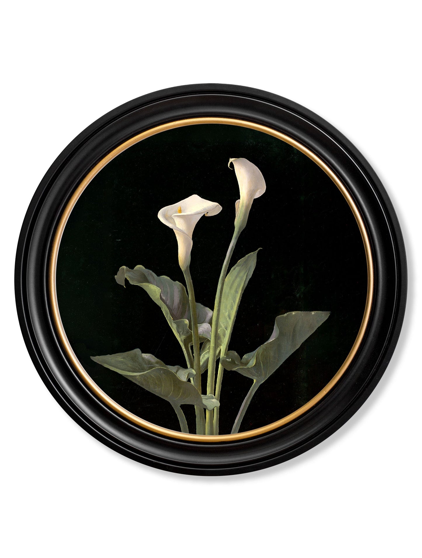 c.1874 George Cochran Lambdin Lillys - Round Frame