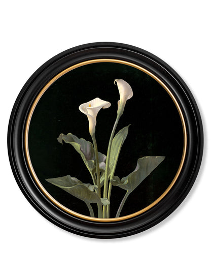 c.1874 George Cochran Lambdin Lillys - Round Frame