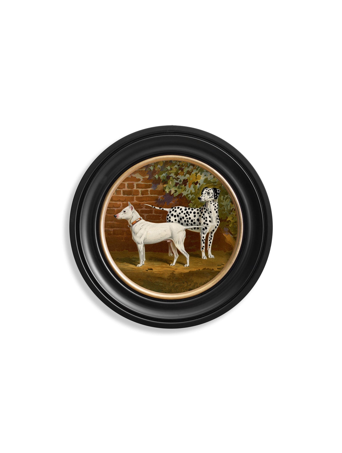 c.1881 Dogs - Round Frame