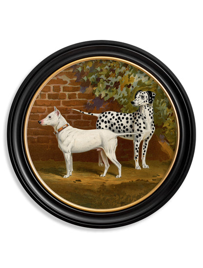 c.1881 Dogs - Round Frame