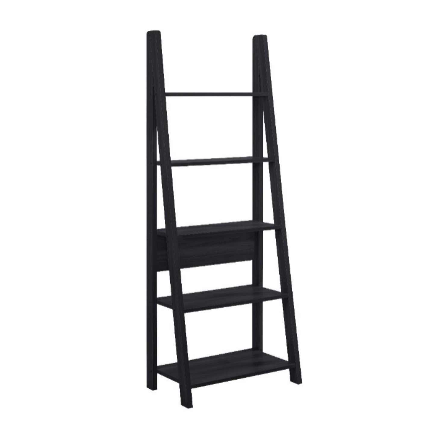 Riva Ladder Bookcase