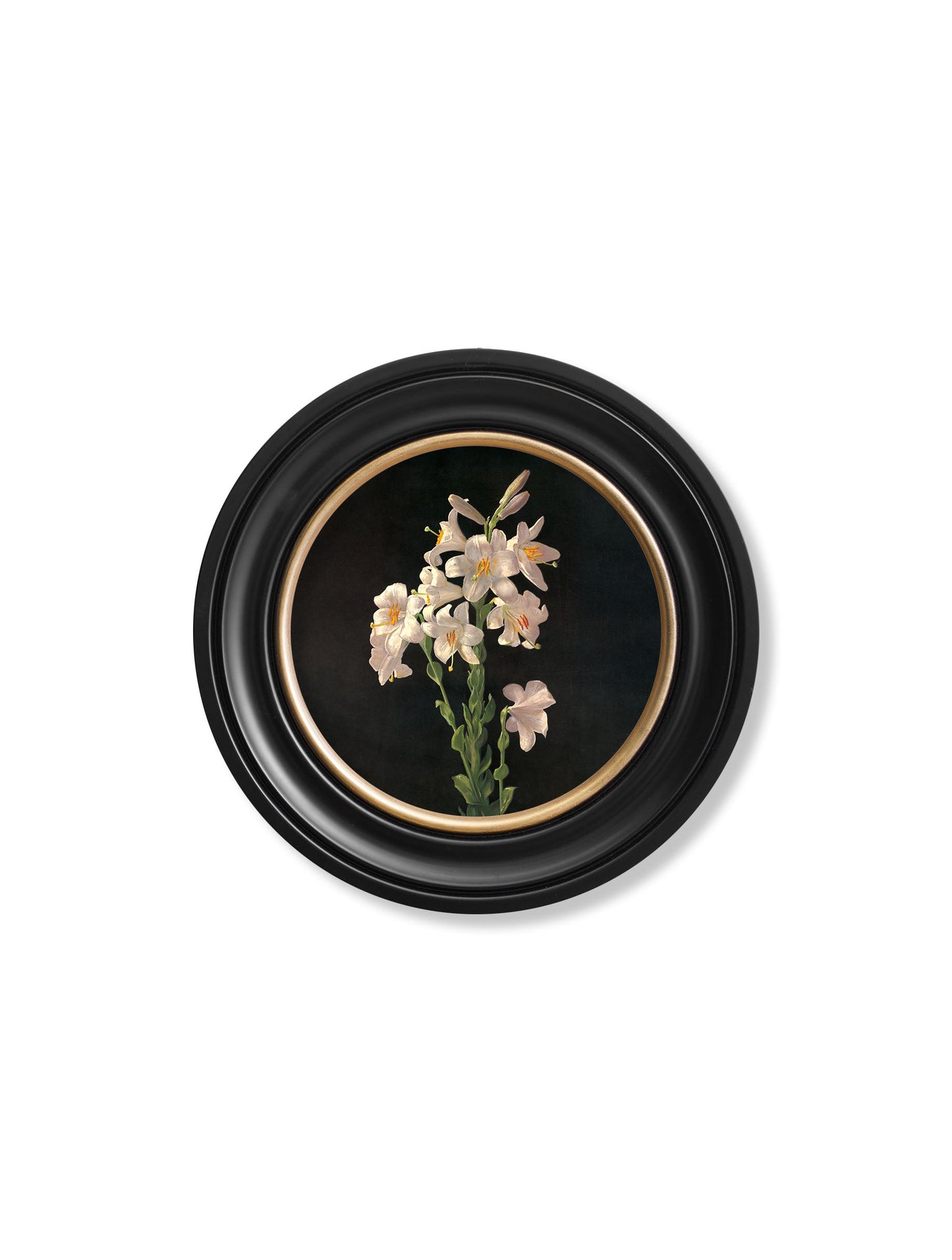 c.1874 George Cochran Lambdin Lillys - Round Frame