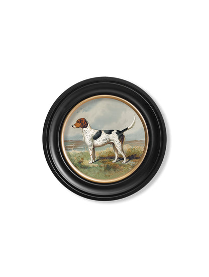 c.1881 Gun Dogs - Round Frame