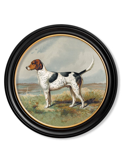 c.1881 Gun Dogs - Round Frame