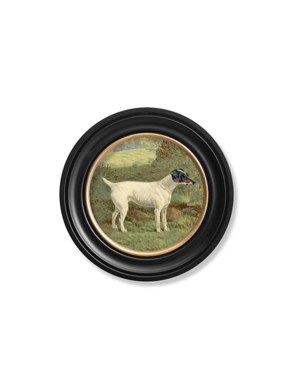 c.1881 Terriers - Round Frame