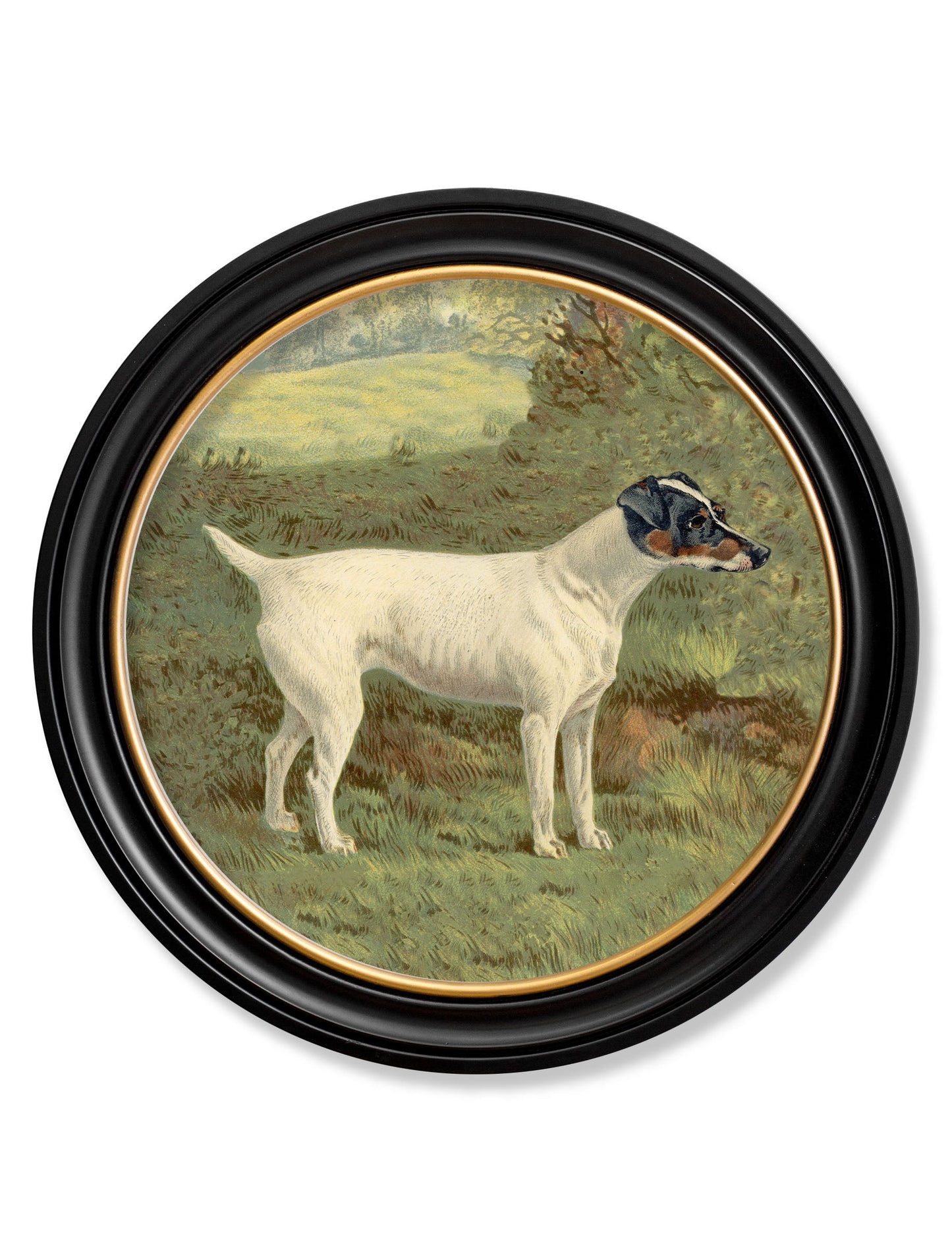 c.1881 Terriers - Round Frame