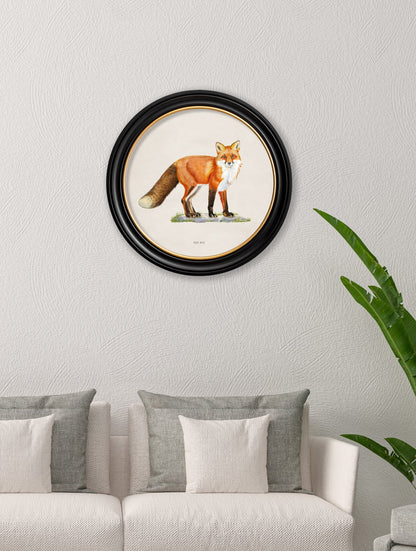 Red Fox - Round Frame