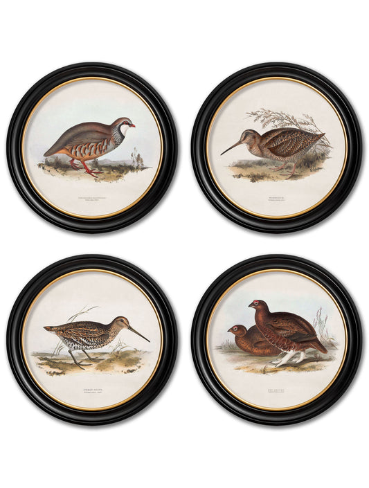 c.1837's British Game Birds - Round