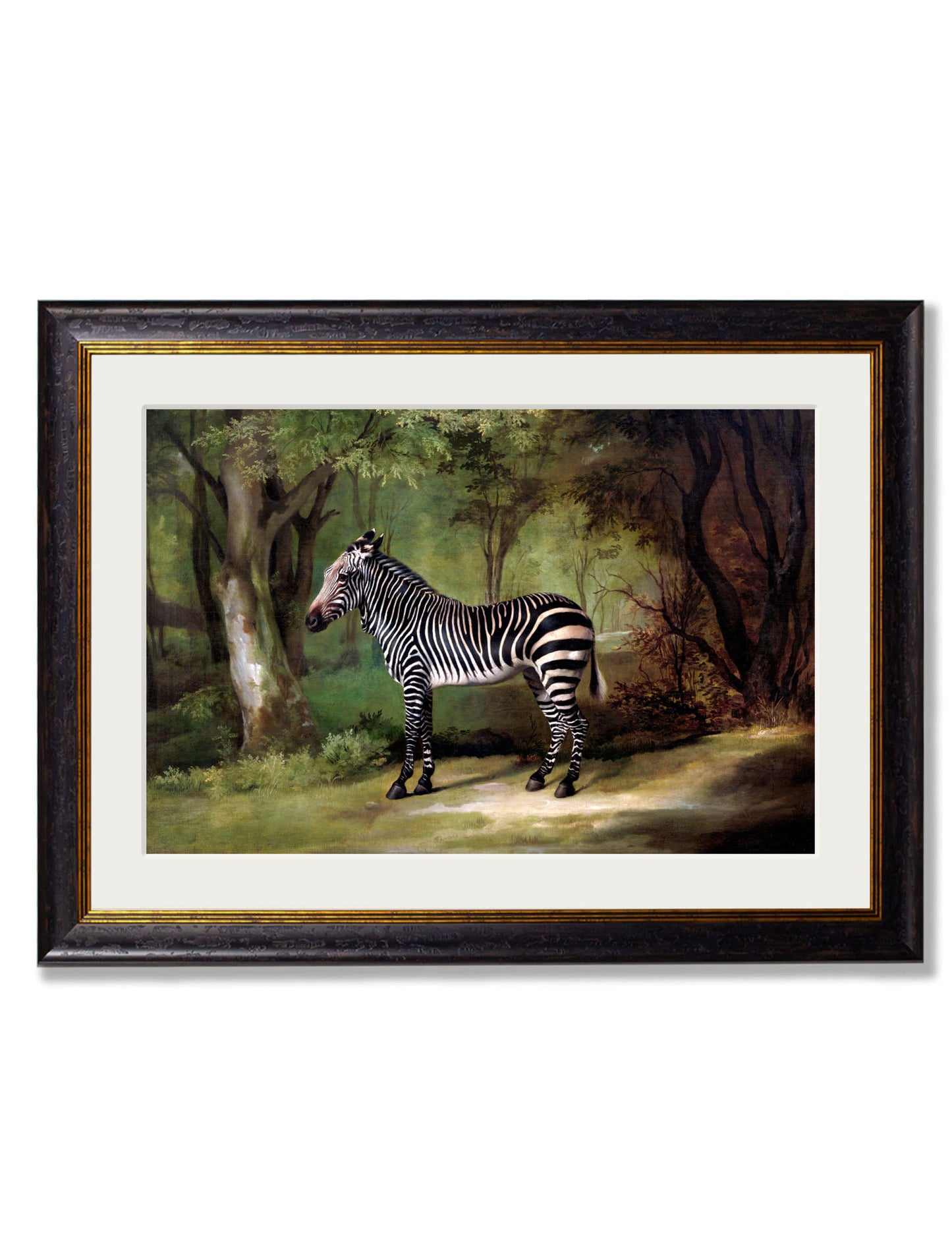 c.1763 George Stubb's Zebra