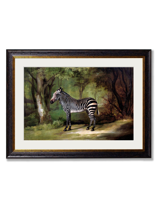 c.1763 George Stubb's Zebra