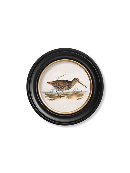 c.1837's British Game Birds - Round