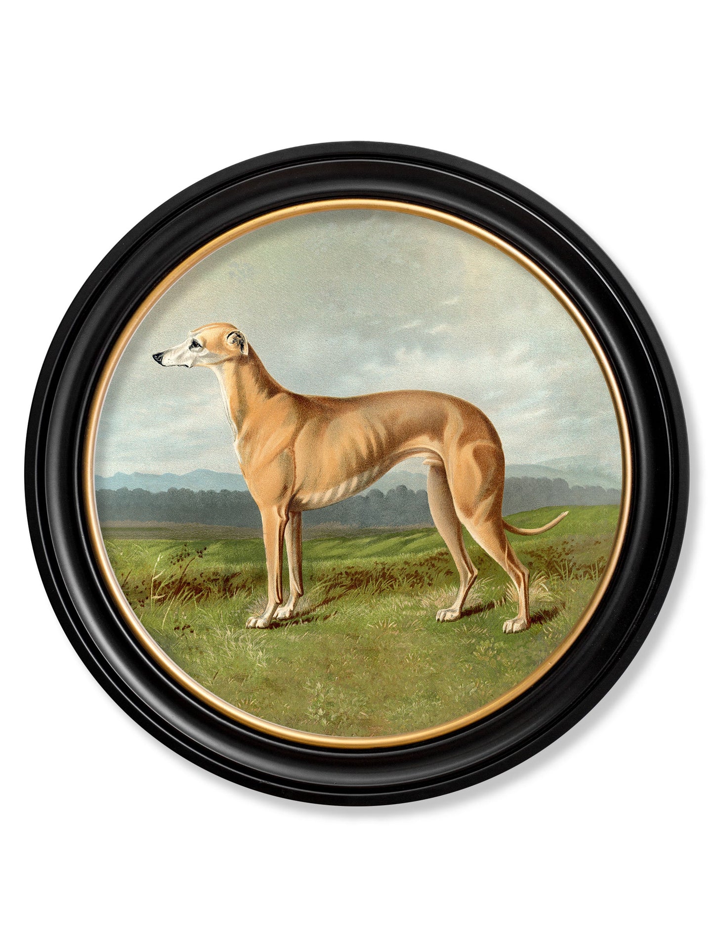 c.1881 Working Dogs - Round Frame