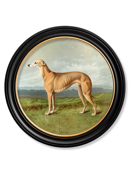 c.1881 Working Dogs - Round Frame