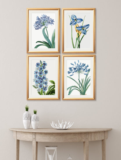 Blue Floral Illustrations Set of 4 Prints