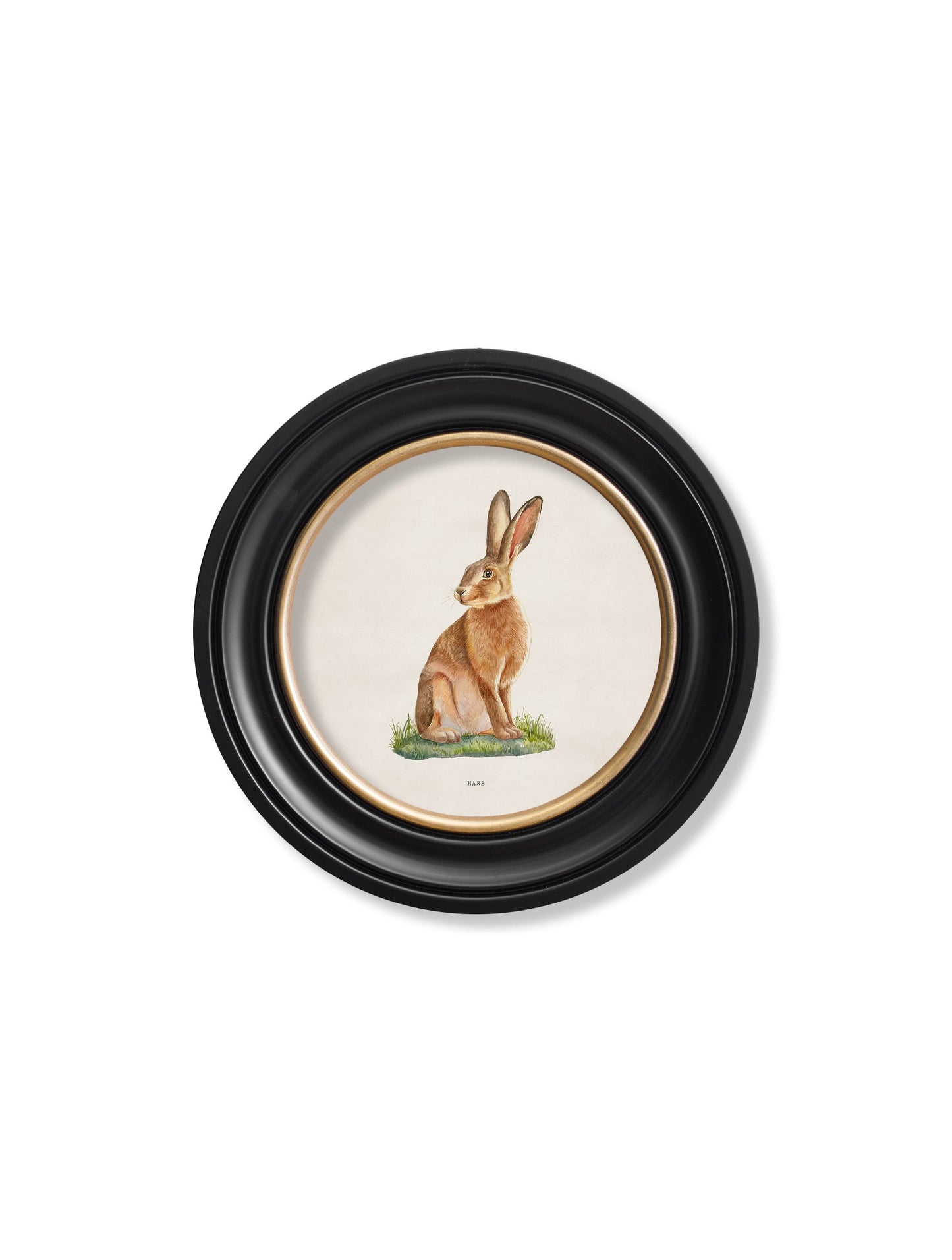 Hare - Round Frame