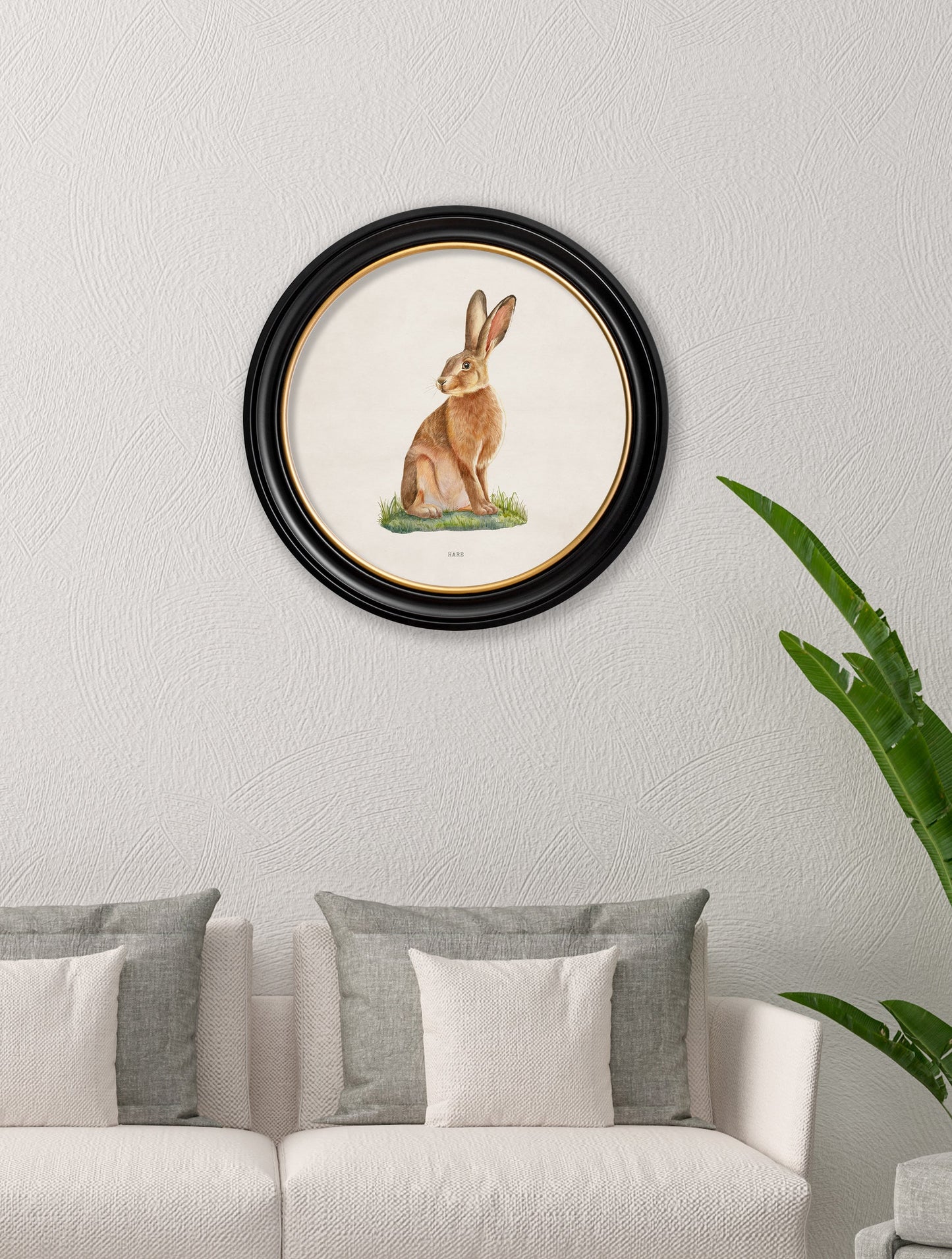 Hare - Round Frame