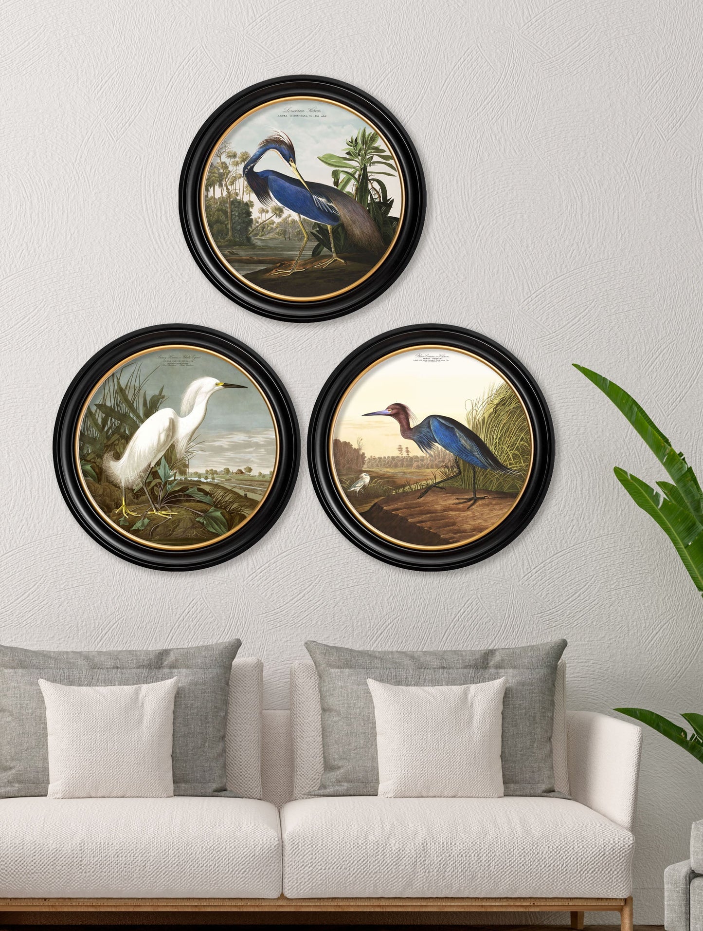 c.1838 Audubon's Herons in Round Frames