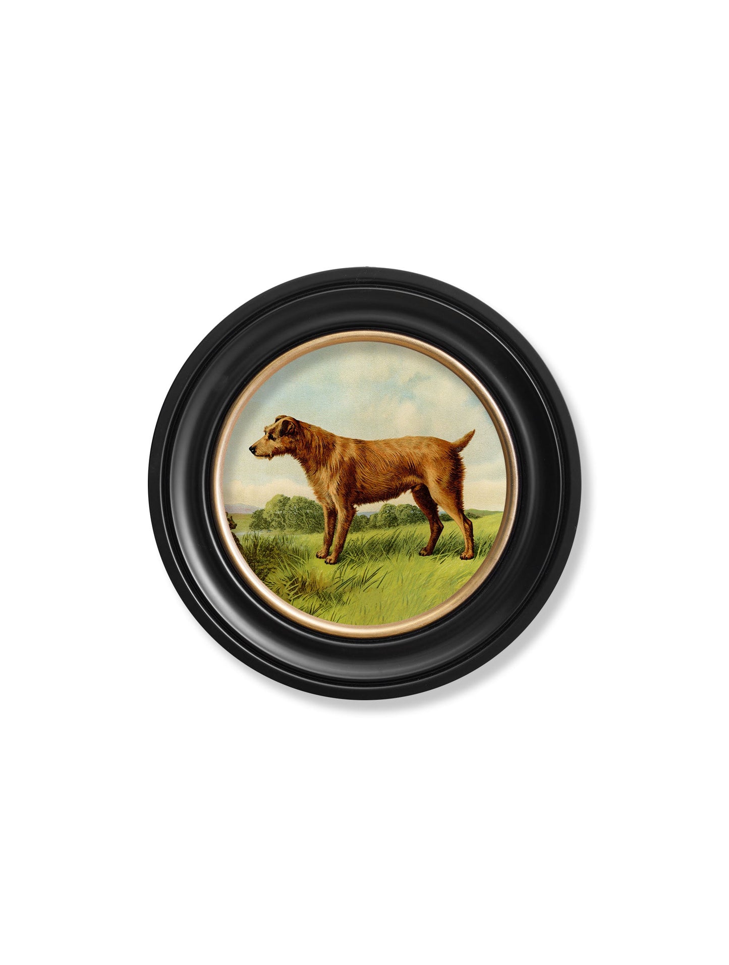 c.1881 Terriers - Round Frame