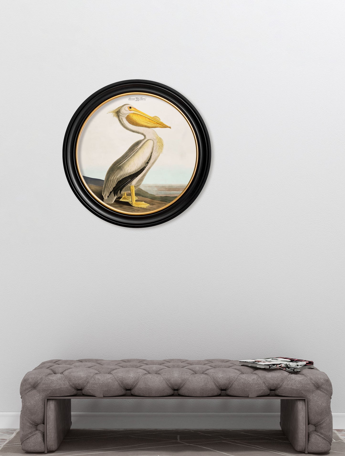 c.1838 Audubon's Pelican - Light - Round Frame