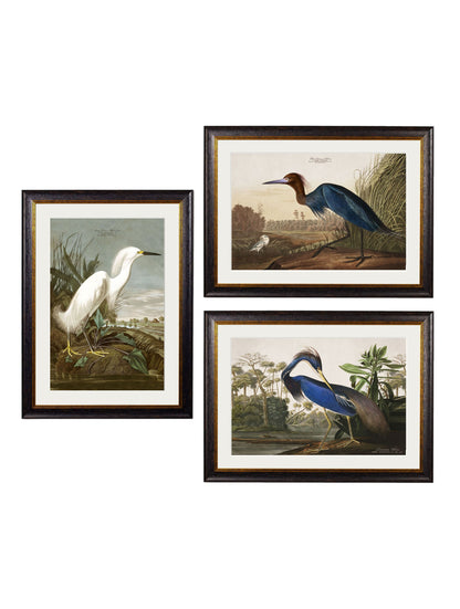 c.1838 Audubon's Herons