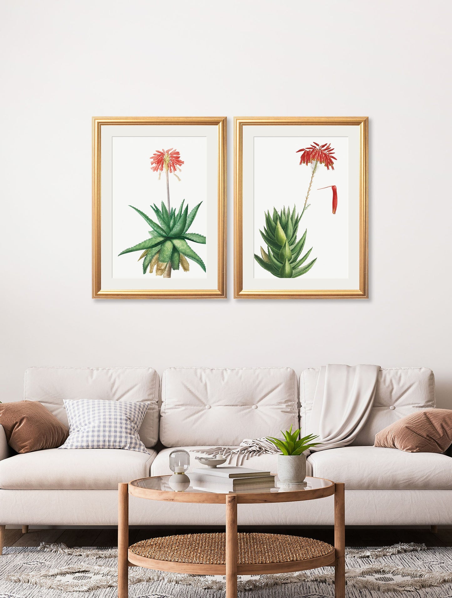 Red Floral Illustrations Set of 2 Prints