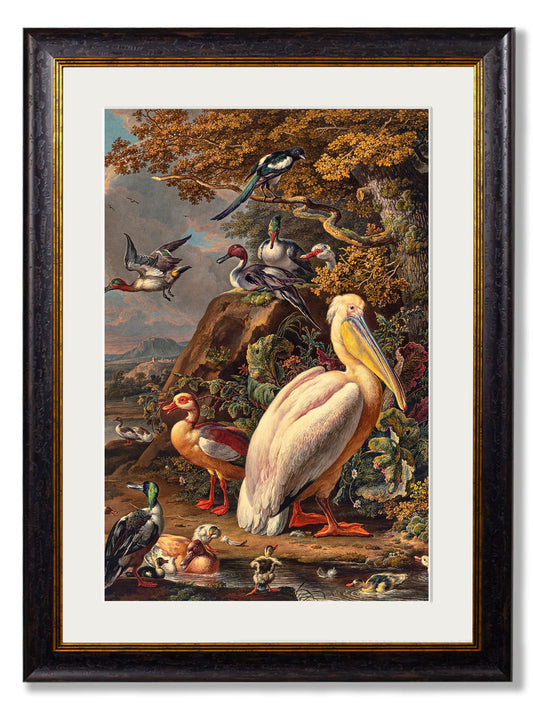 c.1683 Pelican Painting