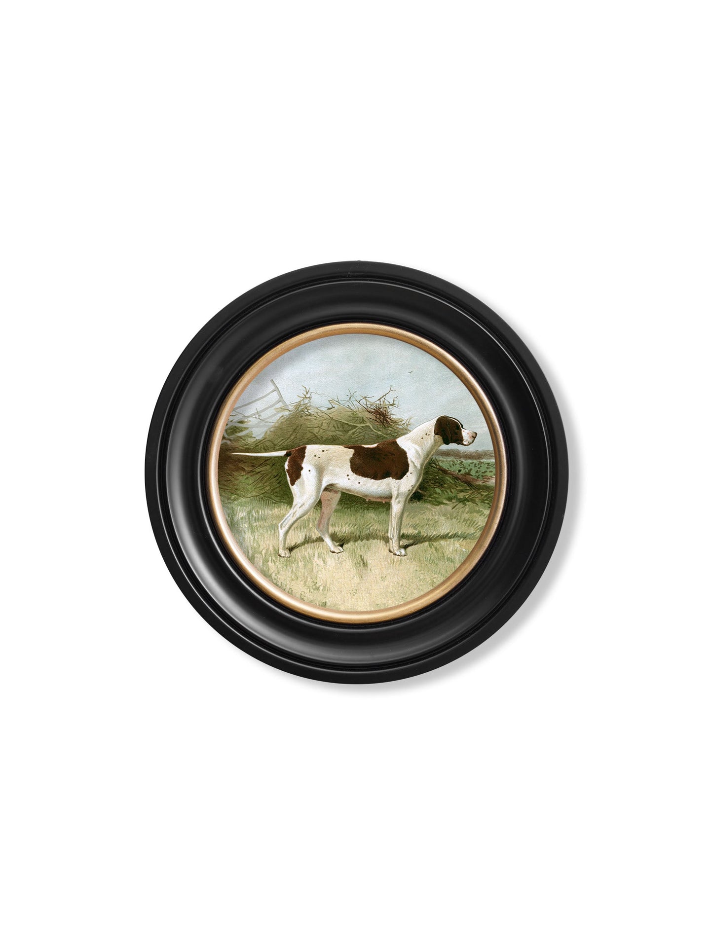 c.1881 Gun Dogs - Round Frame