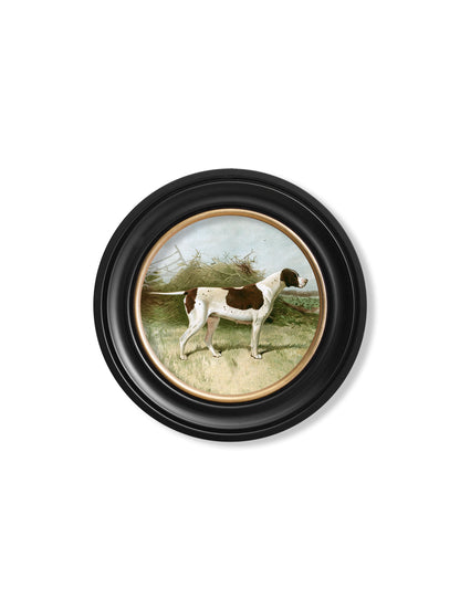 c.1881 Gun Dogs - Round Frame