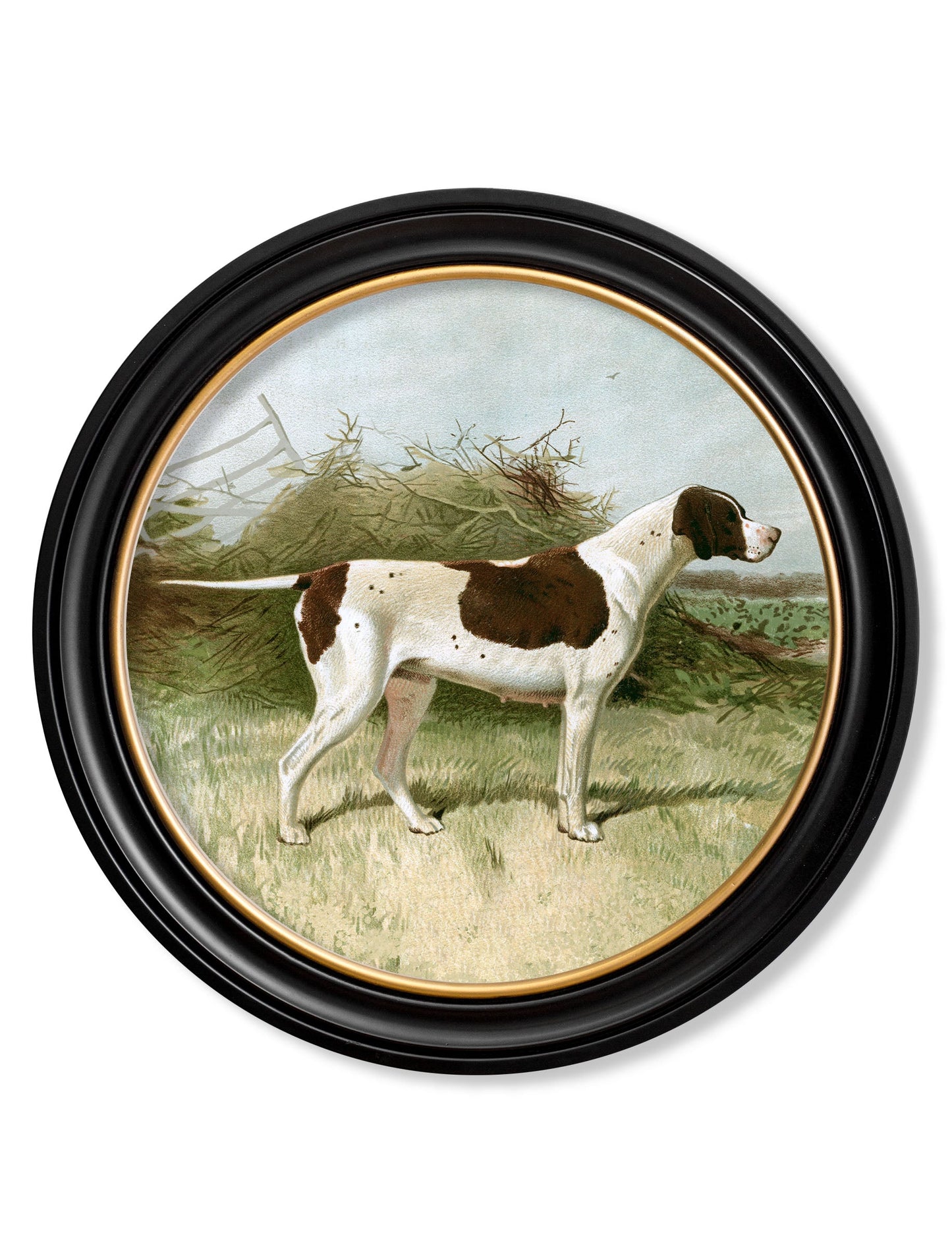 c.1881 Gun Dogs - Round Frame