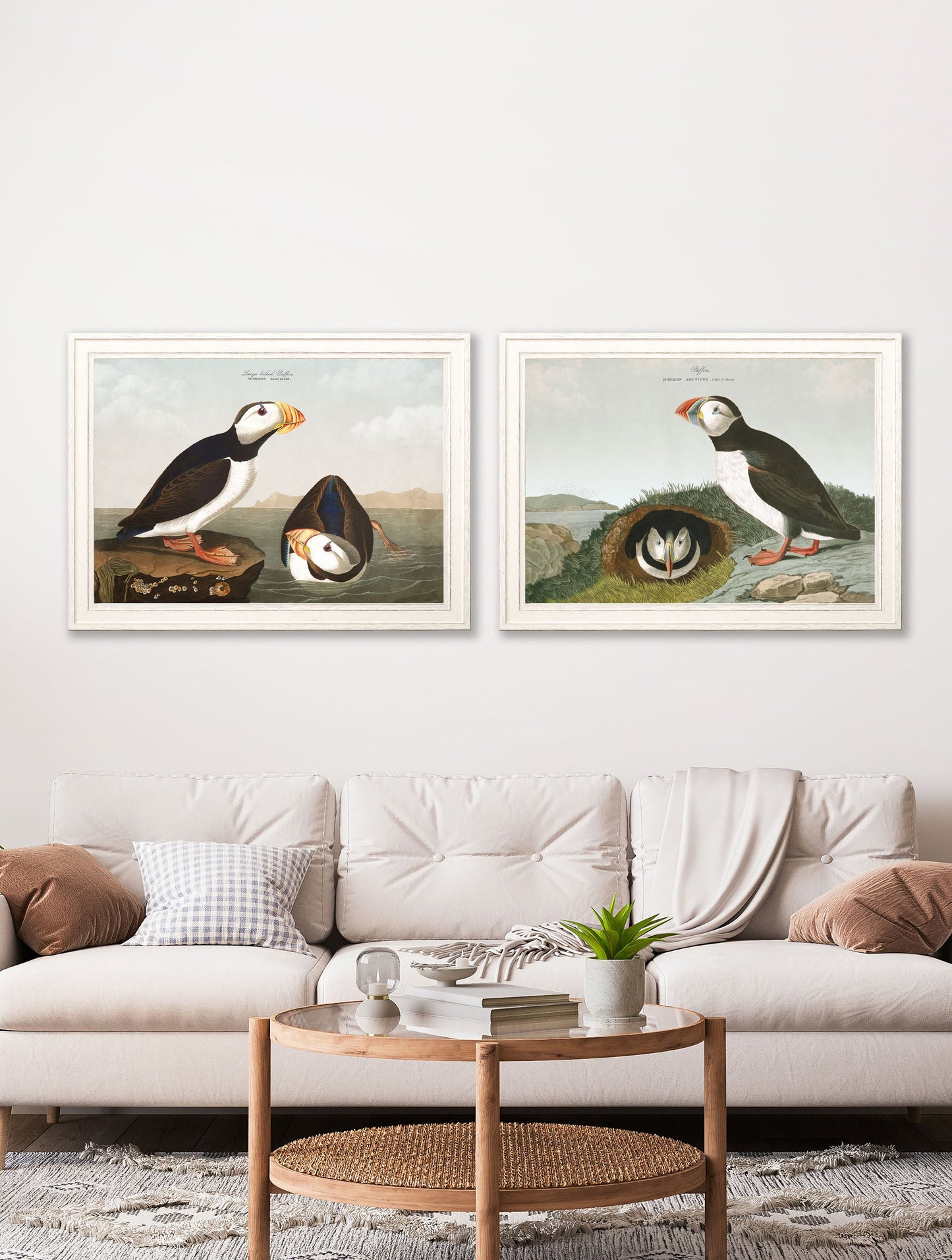 c.1838 Audubon's Puffins