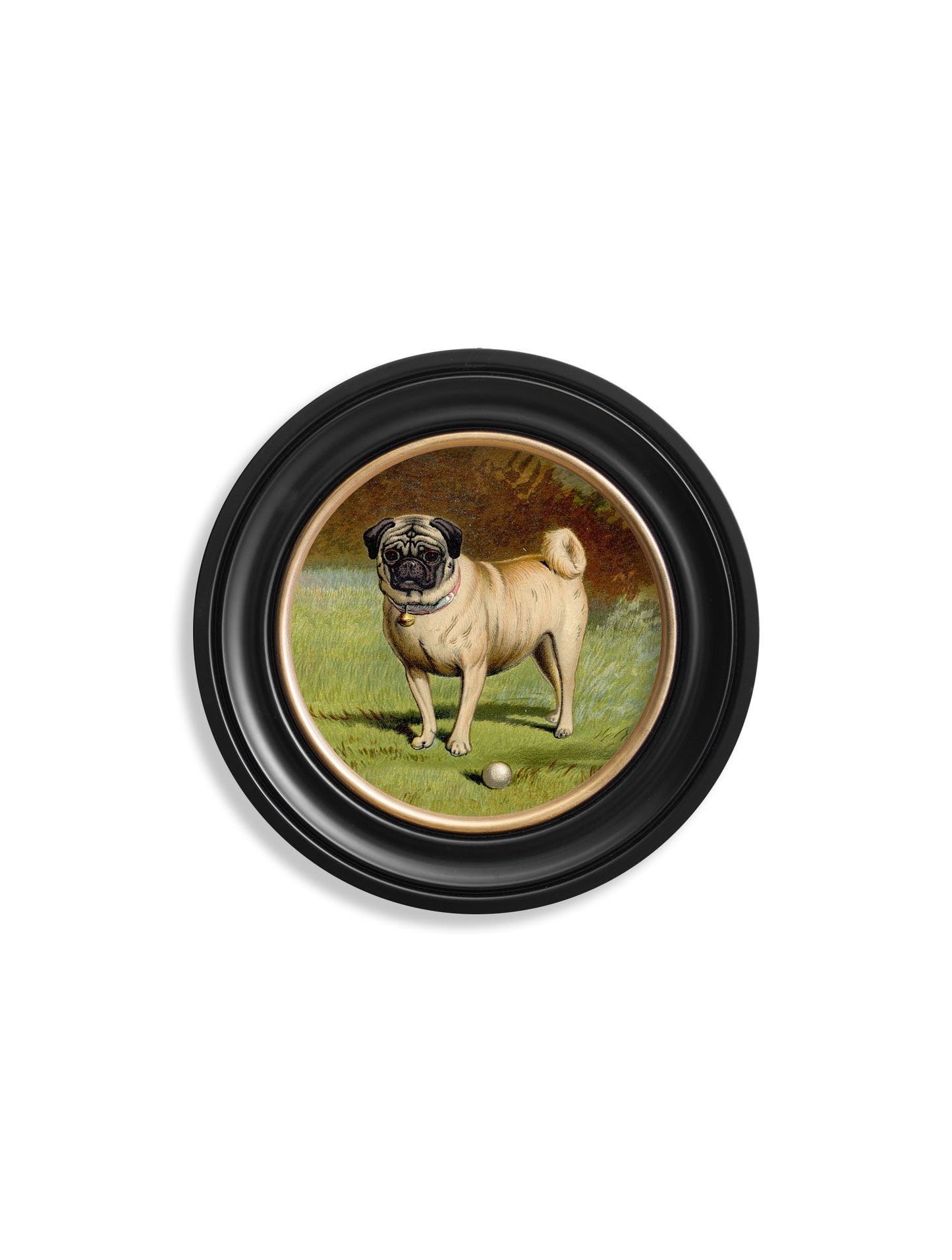 c.1881 Dogs - Round Frame