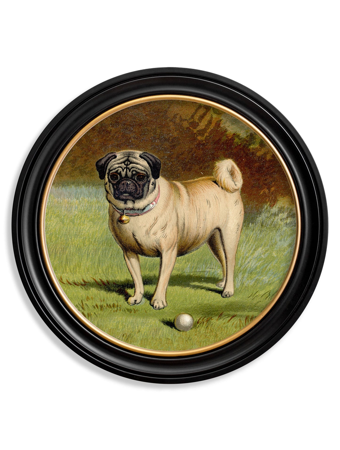 c.1881 Dogs - Round Frame