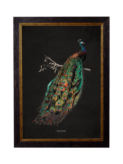 c.1847 Peacocks - Dark