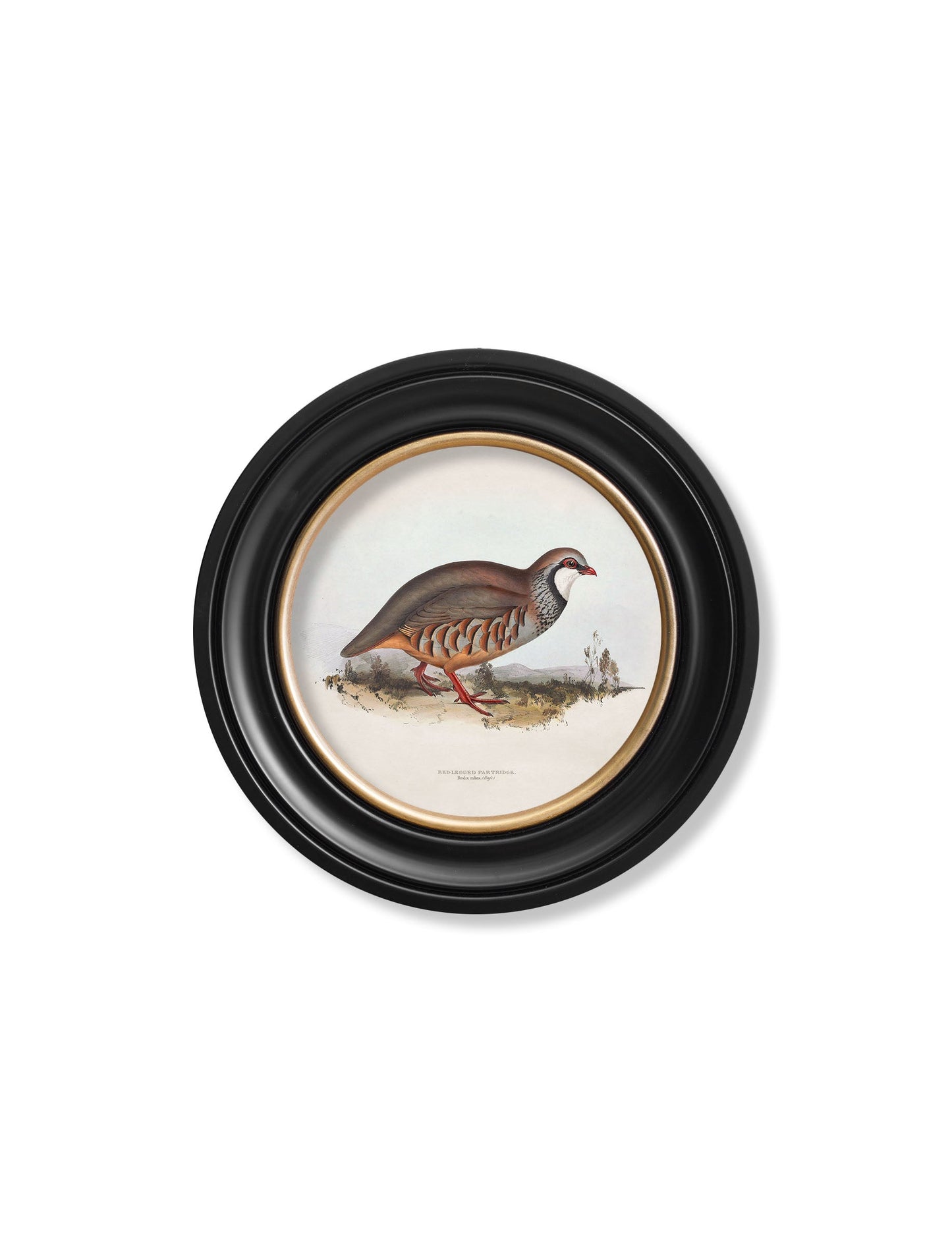 c.1837's British Game Birds - Round