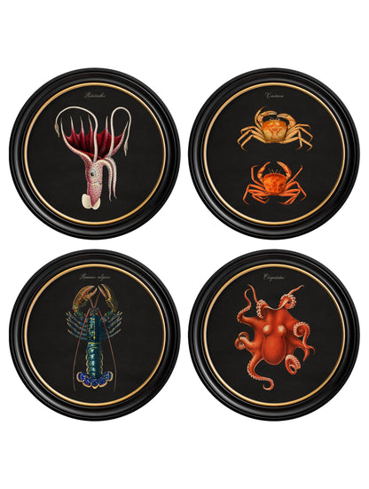 C.1876 Marine Animals in Round Frames - Black