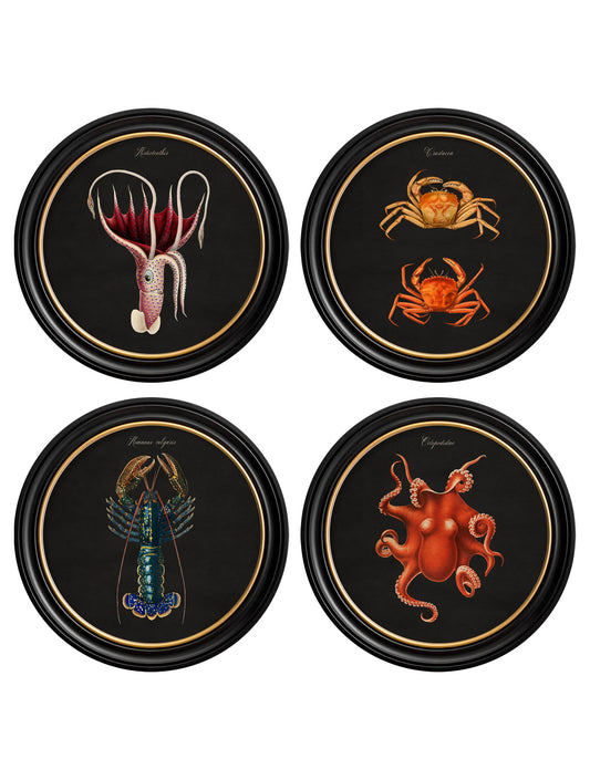 C.1876 Marine Animals in Round Frames - Black