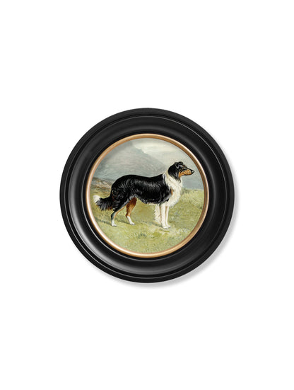 c.1881 Working Dogs - Round Frame